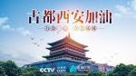 【西安抗疫专栏】我的城市病了（外一首）   文／张韵冰