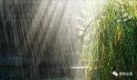 【粤西文苑】刘子立||和一场冬雨相逢（朗诵散文））