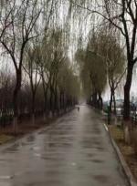 《春夜喜雨》三首   作者/乔通顺