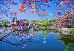 《春 日》 南宋•朱熹   古诗赏析  传诵人：李进花
