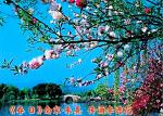 《春 日》 南宋•朱熹   古诗赏析  传诵人：李进花