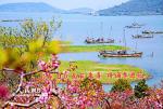 《春 日》 南宋•朱熹   古诗赏析  传诵人：李进花