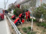 项城孙店镇：“志愿红”助力打造家乡“美丽花园”    