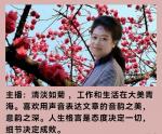 【五岳文学】故乡的风景/金色阳光  主播：清淡如菊