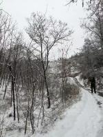 【美文】春雪/作者：杨迎勋