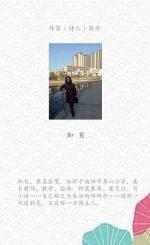 那些温暖的瞬间｜作者：加贝
