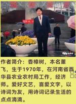 香樟树《西华县址镇开展植树造林助力环境提升记》诵/殷钰