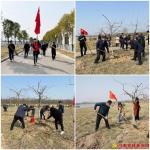 鄢陵县：支部联建添新绿“两新”组织别样红