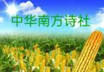 春暖花娇艳（现代诗）*罗洪标*