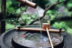 【这辈子不能活得徒有其表】作者/王鹏博   朗诵/弘华