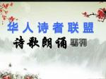 《忆母亲》作者: 鲁午坡【诵读:金牌主播 加政】【华人诗者联盟】[诗者★雅声]总第二百三十九期