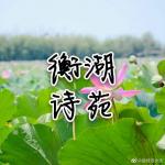 吉林抗疫赞