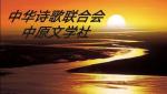 【我该如何去爱你】作者//追梦天涯//中华诗歌联合会中原文学社（原创首发）