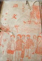 我走进学校那一年