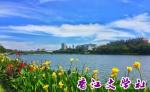 【香江文学】第760期  作者  刘志新（中国辽宁阜新）  七律 · 细河早春  香江文学社