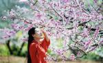 【新诗大观】待到春风吹起，我在花下等你||文/惊鸿照影||诵/冯楚焱