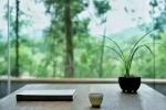 一“跌”知“秋”文：李传根（南京）【冰心文化传媒】