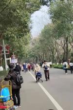 龚剑新：乘兴春游  骚客不愁    请欣赏