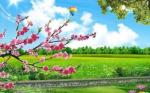 【世界诗歌作协★文声汇影】认证诗人:元旦《春》主播:曦月