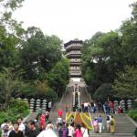 推荐高连君老师原创古风《西湖、雷峰塔风光》主播：阿萍～黄金诗院有声之家、总编：黄金满地。