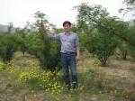 有声文学：《追梦之路》作者李东林  主播默韵