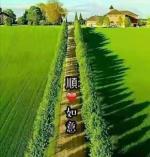 踏青  文／山乡（湖北）【冰心文化传媒】制作  冰心