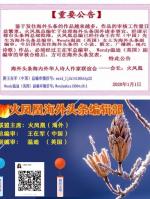 谁在等风起：作者闲云野鹤（袁琴）海外头条