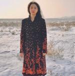 谁在等风起：作者闲云野鹤（袁琴）海外头条