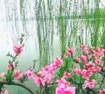 【七绝二首】《春望拾景》《洪泽湖畔漫步拾景》（新韵）文／海流（江苏）