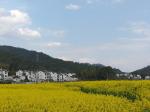 【九江文学社：北京头条】《泪祭》文/放飞