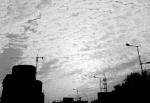 《空城》作者博远/主播世灵//中华诗歌联合会《修竹留云》第2483期