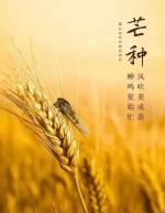 《芒种》作者：剧明水