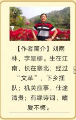 翠柳【商调•满堂红】吟曲偶得 诵/梅子