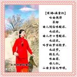 翠柳【商调•满堂红】吟曲偶得 诵/梅子