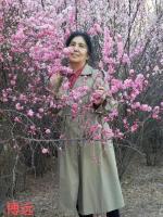 《第六届世界爱情诗大赛》（104）【黑龙江总社】推荐作品：博远