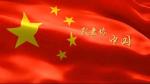 刘文志朗诵【百年大党正青春】作者/蓝波