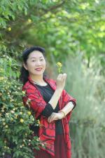 《中国爱情诗刊》【为你读诗】(第2544期) 主播：紫气东升  作者：邓朝平  审核：江飞