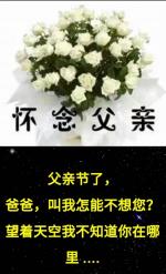七言排律‖怀念父亲  作者‖武书尧