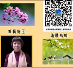 江城子·思念父亲（新韵，苏轼体）     文/乔建国