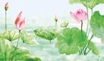 【原野文学社】节令门_夏至_原野都市头条第150期_发表于宁夏银川