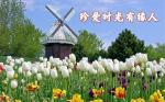 《珍爱时光有缘人》作者‖任晓芹 主播‖天空