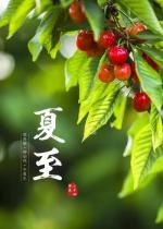 王建华梁文君赵广业王过关金荣柔妤马汉任茹意李志国等诗词书画欣赏(凤鸣园第十三期)