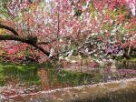 【明心文学】风雨  作者/太阳雨  主播/一元迤逦