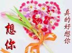 [北京头条]《等着我，我的爱人》作者/雨下罗加，主播/柔荑
