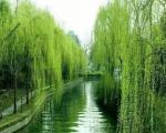 内蒙古金笔诗人邢龙社长主编格律鉴赏——世界头条