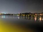 五律 中华新韵《栖蝉》 作者：高远(山东)