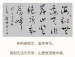新视野文学月刊【古风格律诗词版】202206（总第十一期）