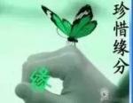天山墨客诗三首