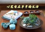 《心宽自在享幸福生活》作者‖任晓芹 主播‖求真