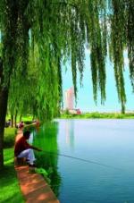 又至六月初一     文／刘景颜